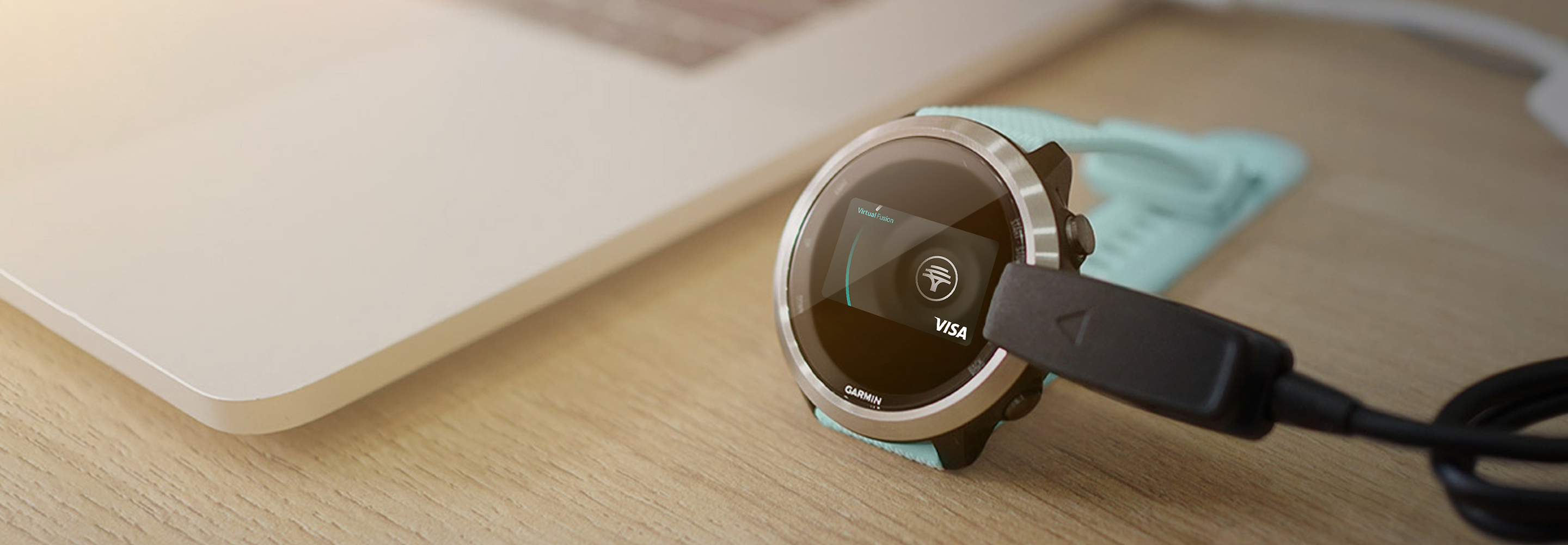 Garmin Pay